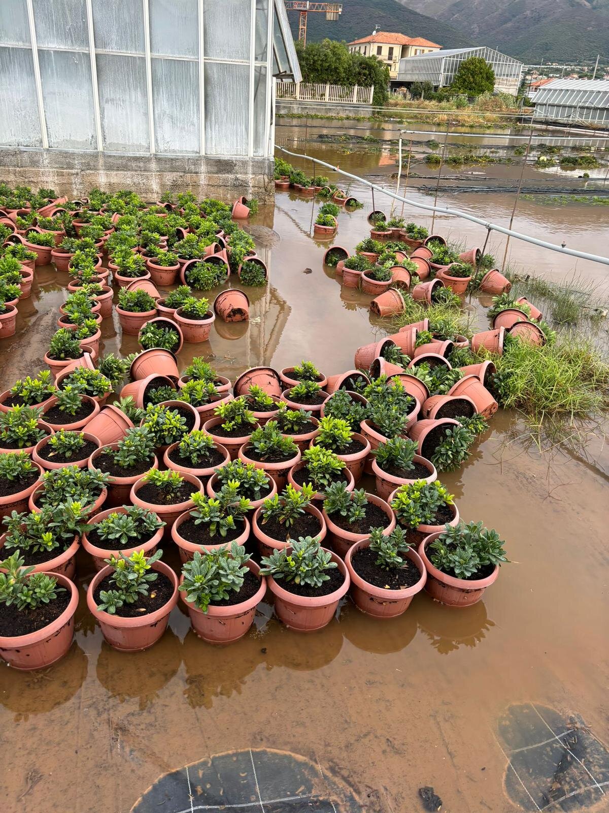 Danni maltempo alle aziende agricole, Cia: "Subito interventi in somma urgenza e risarcimenti"