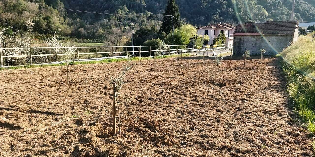 Psr per agriturismi, CIA Savona: "Ora i bandi per giovani e investimenti"