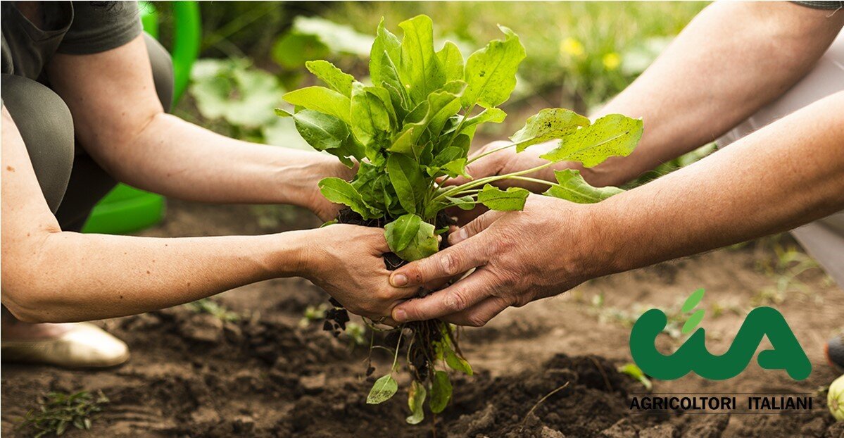 Convenzione Cia Savona-Engas: vantaggi per le forniture energetiche