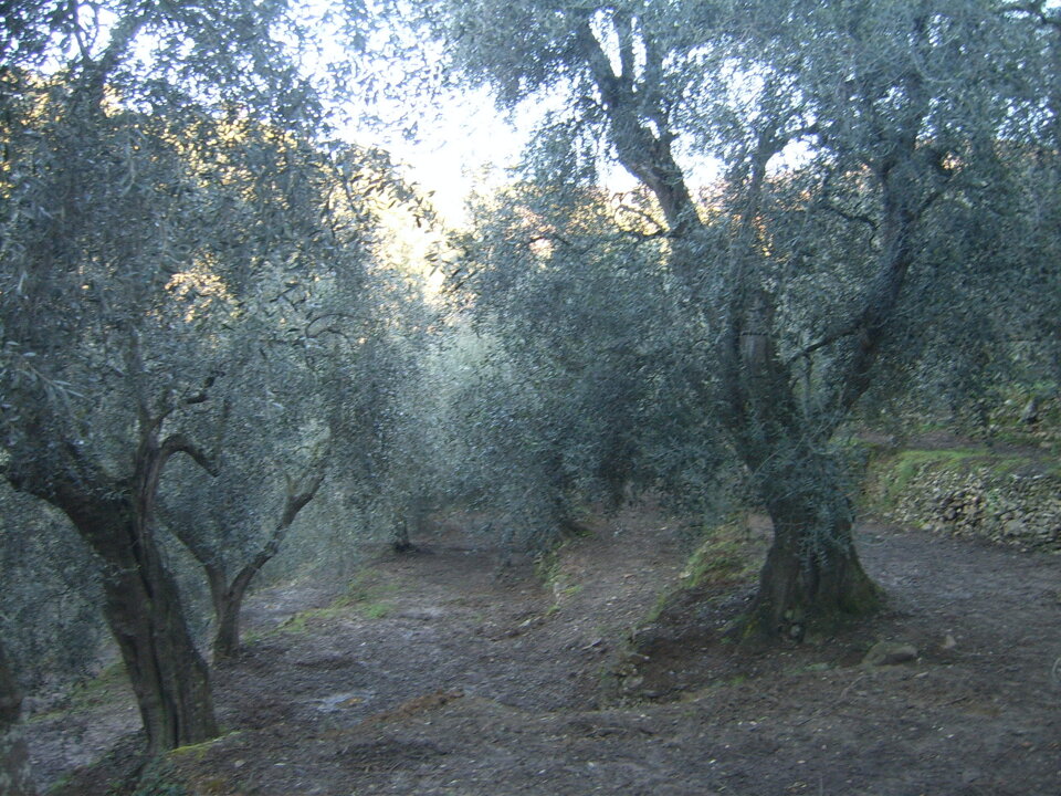 bb6440fb-44a7-4994-88ed-35c16092564d bb6440fb-44a7-4994-88ed-35c16092564d