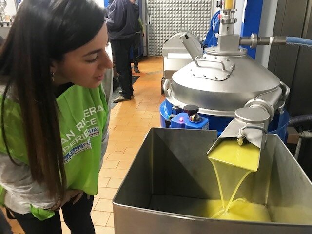 Bando regionale per l'ammodernamento dei frantoi oleari