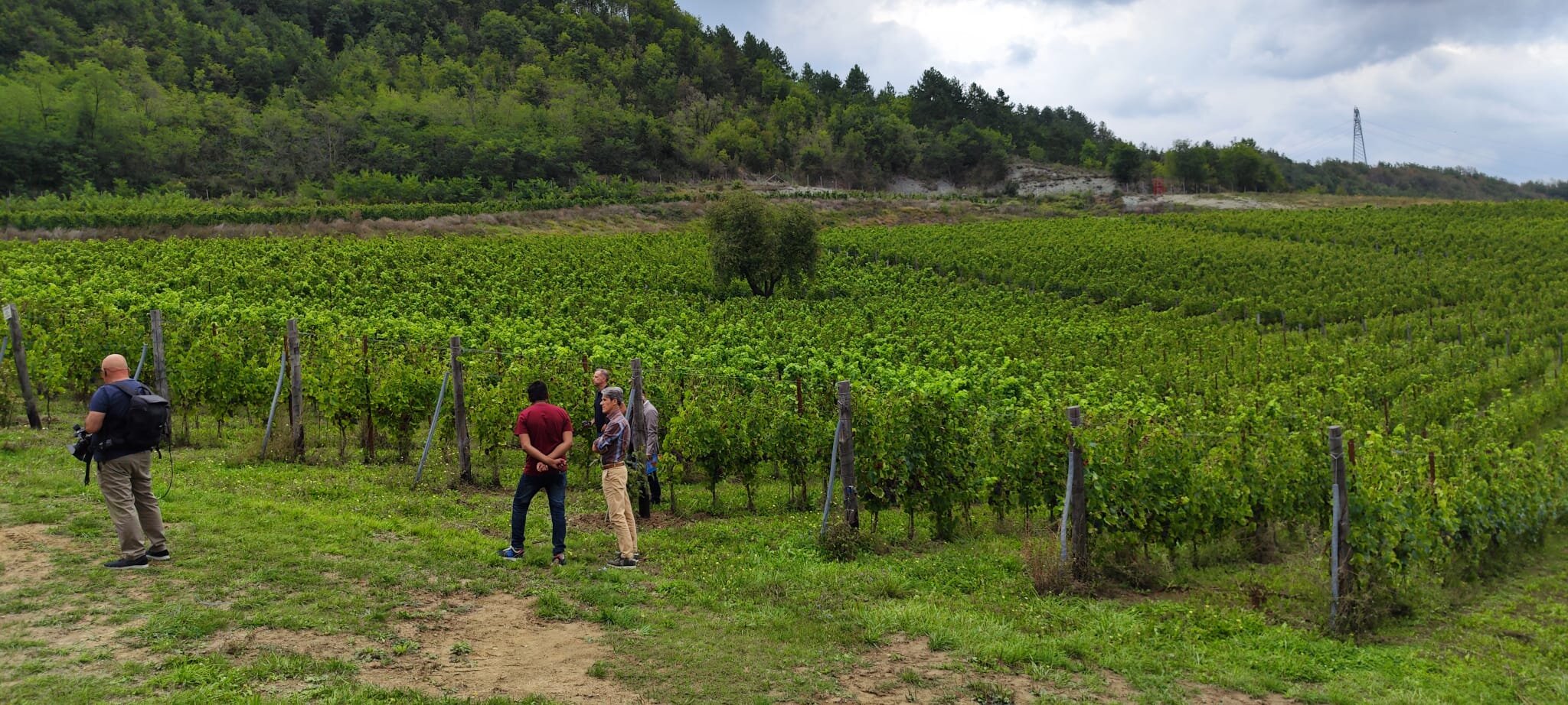 Morto a Latina e caporalato, Cia Savona: &ldquo;Non penalizzare le aziende agricole in regola
