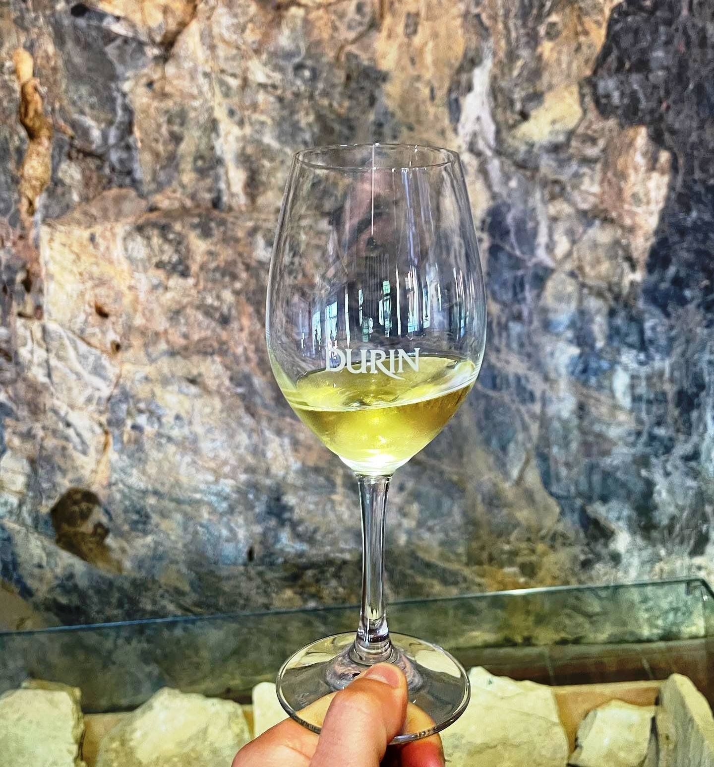 Vini ma non solo, nel savonese spazio alle bollicine e agli spumanti