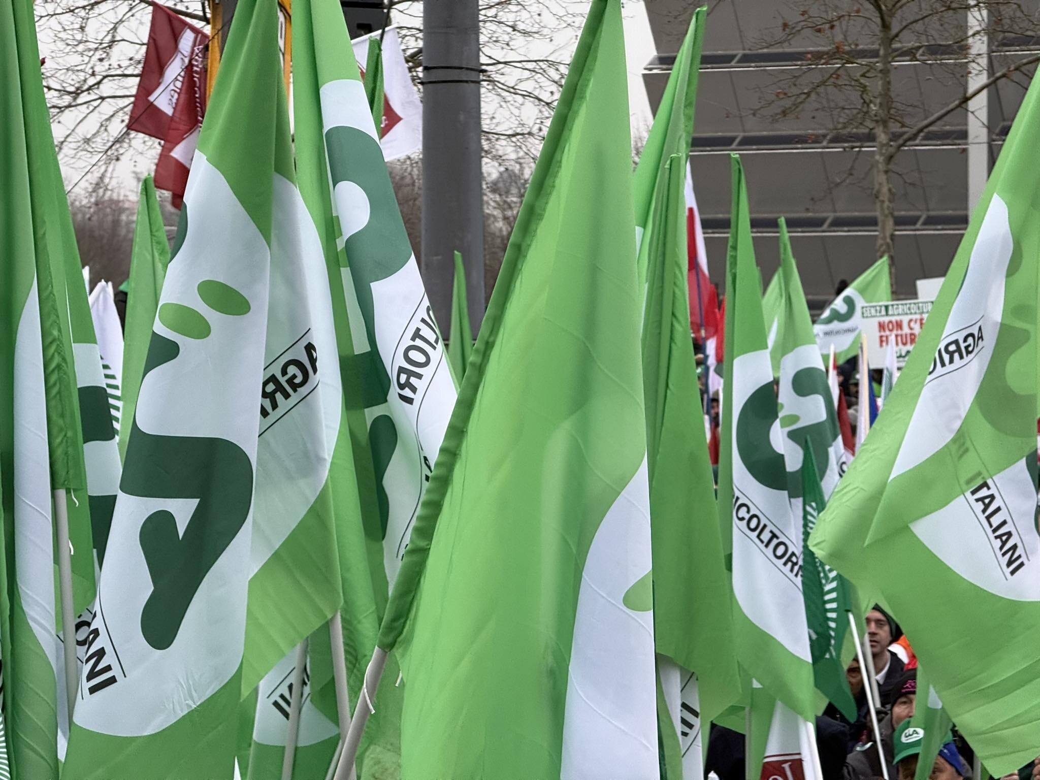 Mercosur, Cia: "Ascoltati da Parlamento Ue. Invio a Corte di Giustizia sia utile" Mercosur, Cia: "Ascoltati da Parlamento Ue. Invio a Corte di Giustizia sia utile"