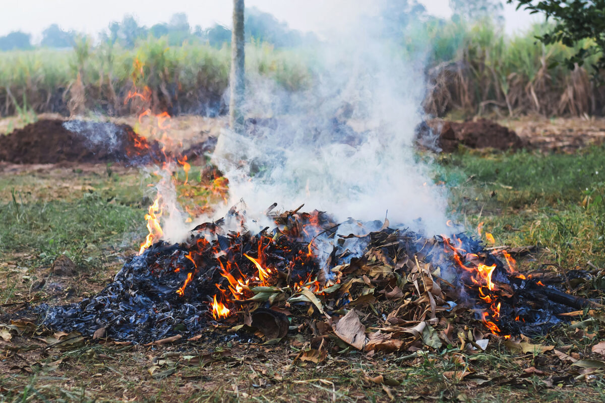 Rischio incendio, scatta il divieto di abbruciamenti di residui vegetali e agricoli