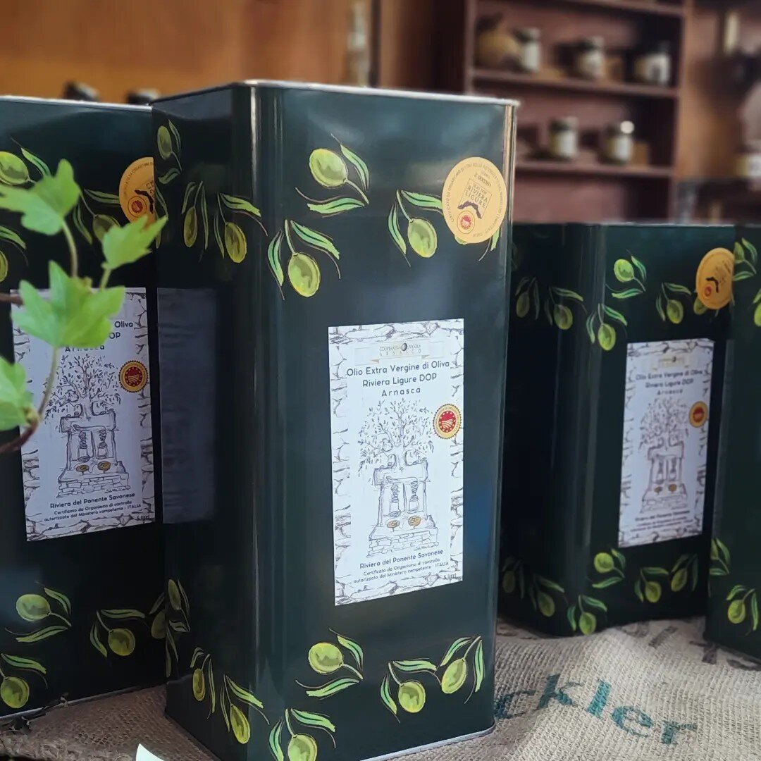 Arnasca d&rsquo;Argento 2025: il convegno annuale della Cooperativa Olivicola di Arnasco