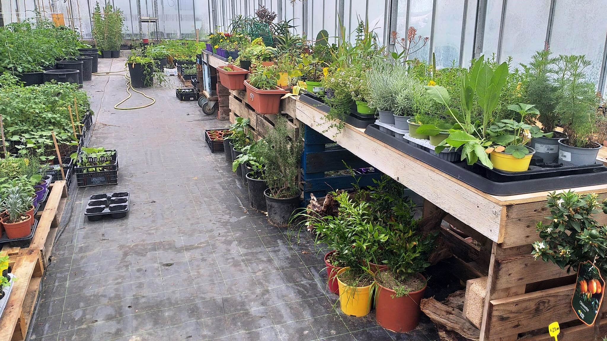 Psr, altri 9mln per sostenere gli investimenti nelle nuove aziende