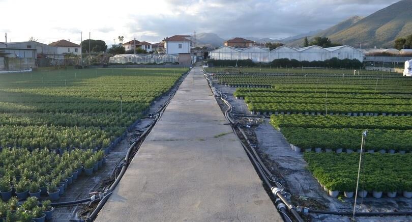 Pagamenti dei contributi, Cia Liguria: &ldquo;Bene, ma non benissimo...&rdquo;