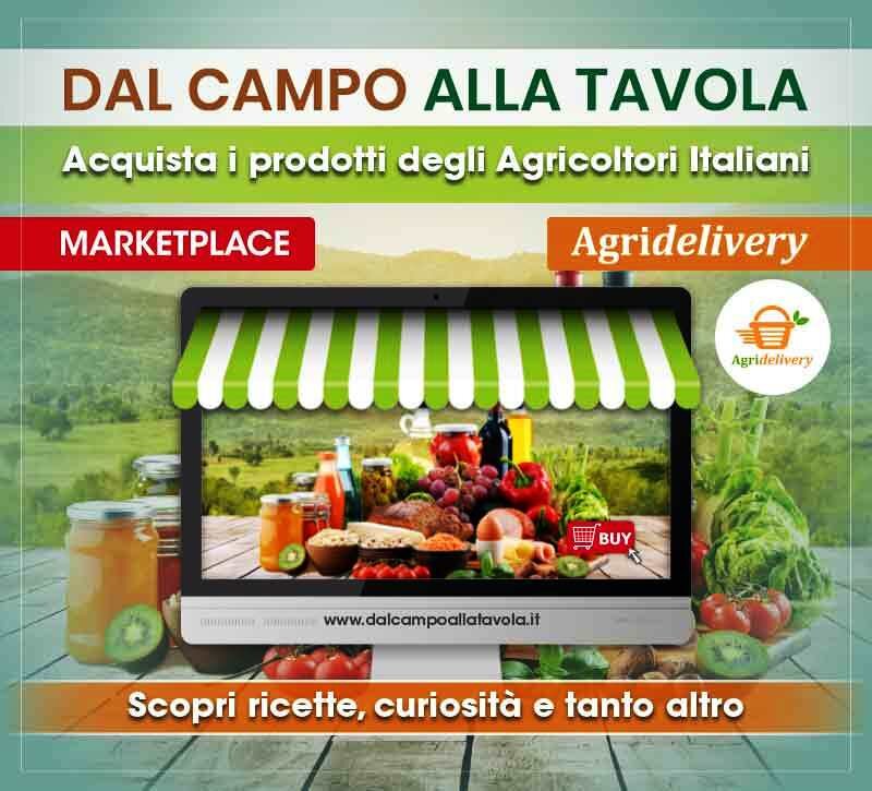 Enogastronomia tra i regali al top, CIA Savona rafforza il progetto Agridelivery