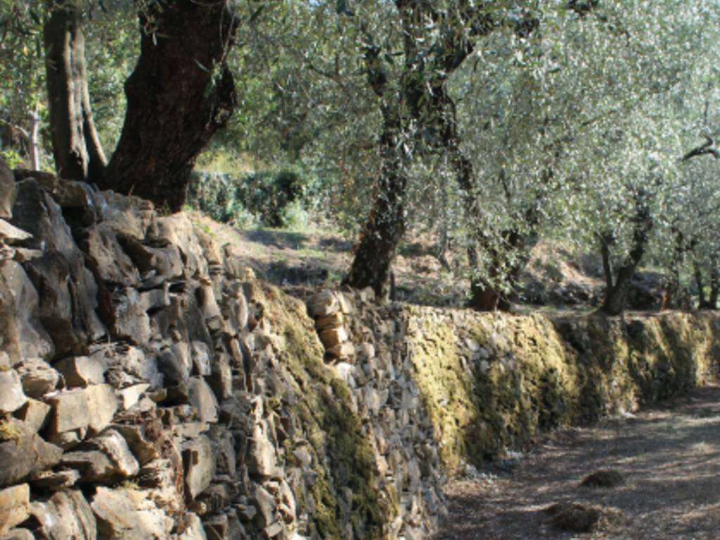 Nuovo bando per i muretti a secco da 9,4mln di euro