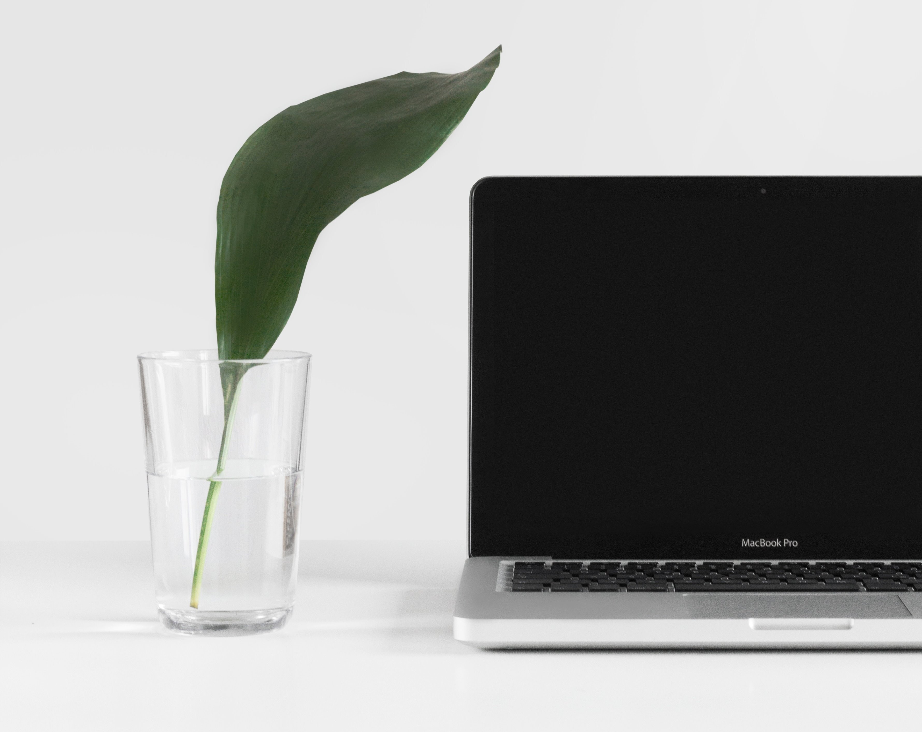 Voucher digitalizzazione