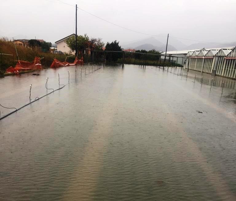 CIA Savona: "I fondi della Protezione civile anche per le aziende agricole"