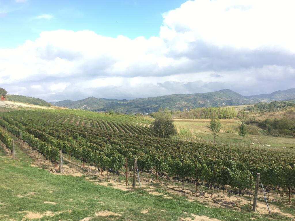 Vigneti eroici e storici, opportunit&agrave; per i viticoltori: ecco la procedura per le iscrizioni