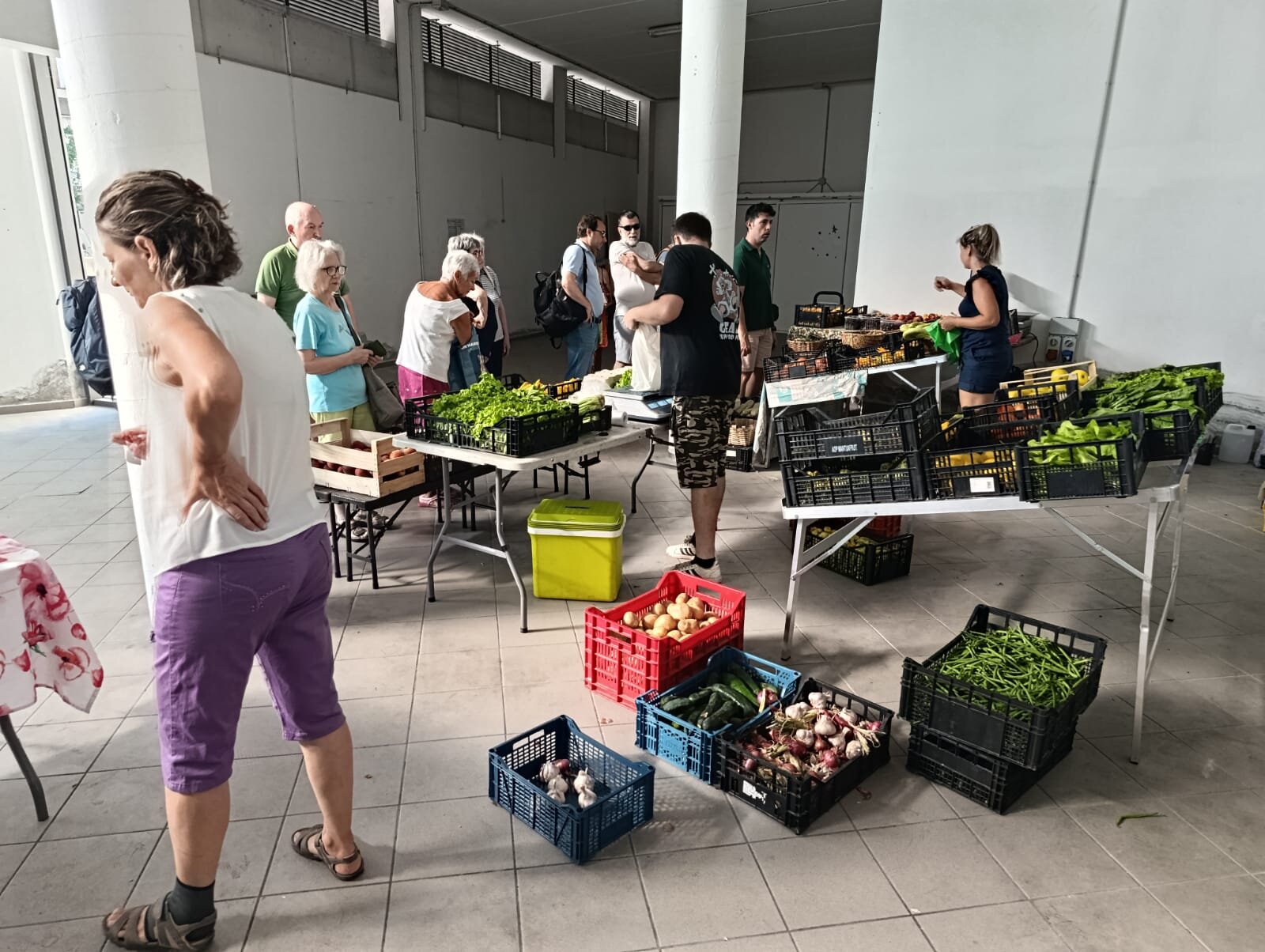 mercatino-celle-ligure-(2).jpeg