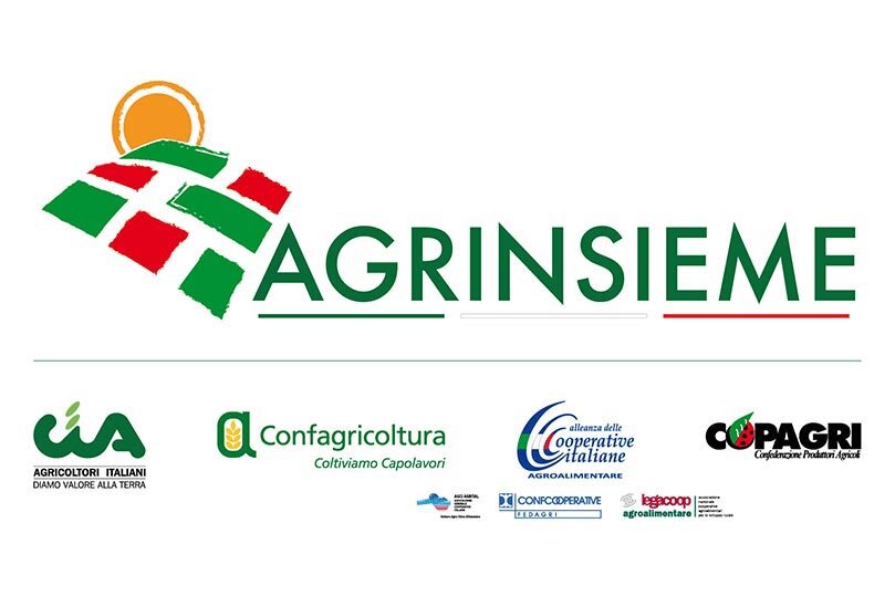 Inefficienza AGEA: Agrinsieme scrive al Ministro Martina