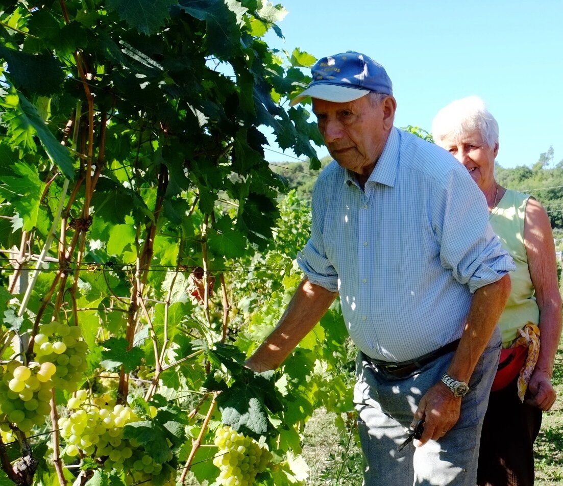 CIA in lutto per la scomparsa di Ettore Vio, tra i primi a lanciare il vino Pigato
