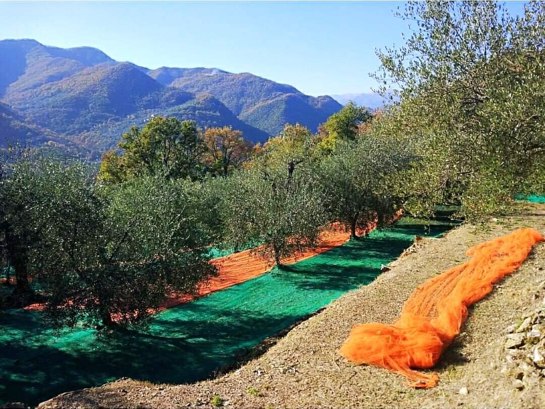 Agricoltura e recupero dell' entroterra, la storia di un giovane imprenditore CIA