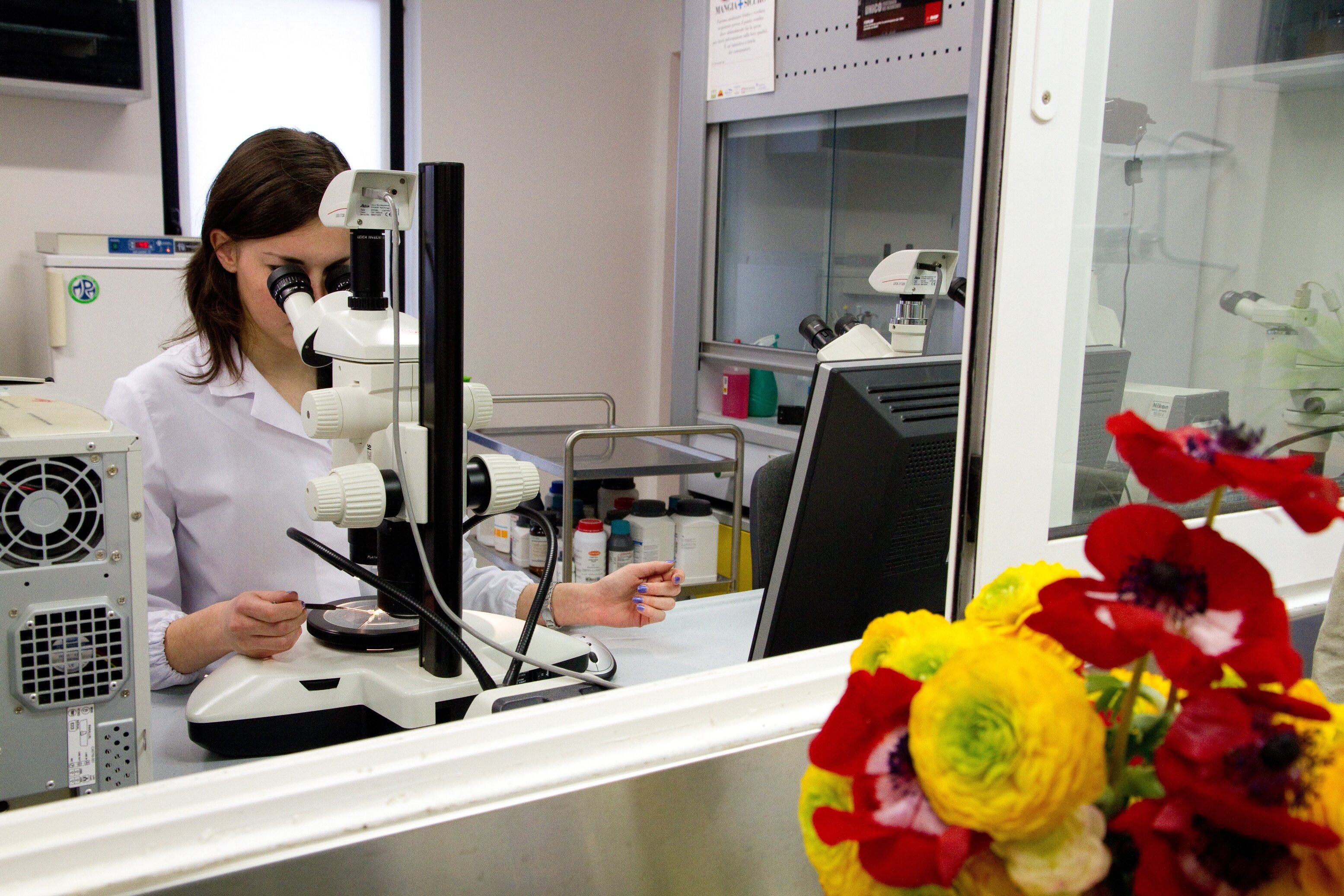 Nuove tecniche genomiche, piante pi&ugrave; resistenti a parassiti e cambiamenti climatici