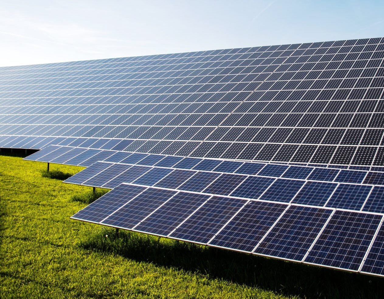 CIA Savona: &ldquo;Nuove regole e meno vincoli per la riconversione energetica&rdquo;