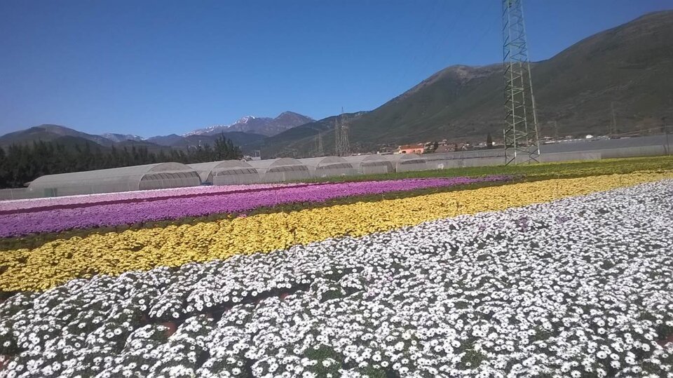 c881e1e6-ffd1-4b9f-b9d8-e6124585c568