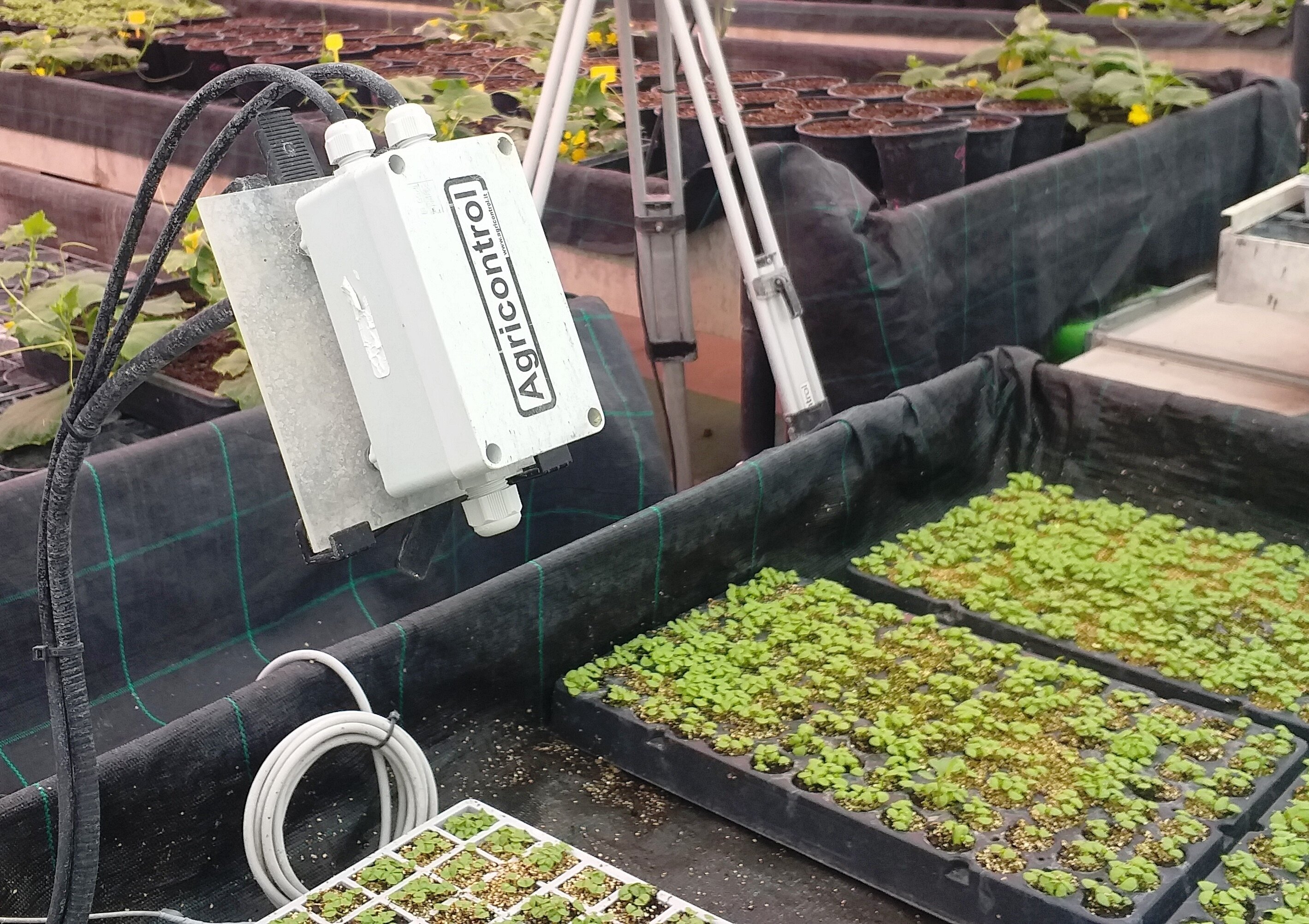 Agricoltura 4.0 e filiere produttive, svolta per agroalimentare e turismo