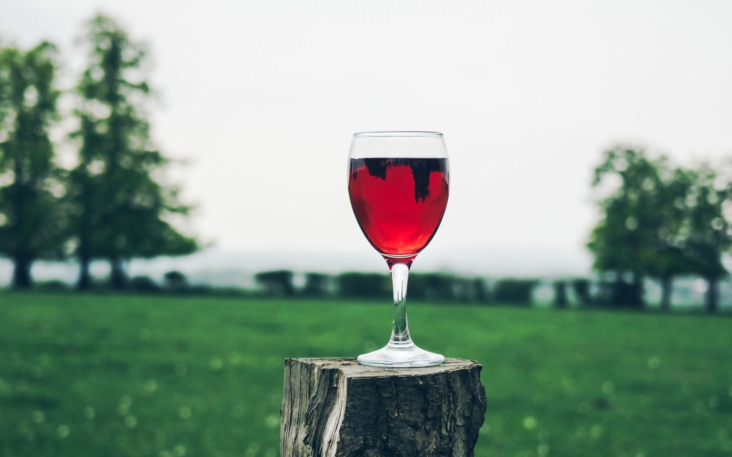 Via libera per le enoteche, Cia Savona: "Primo segnale per la filiera del vino"