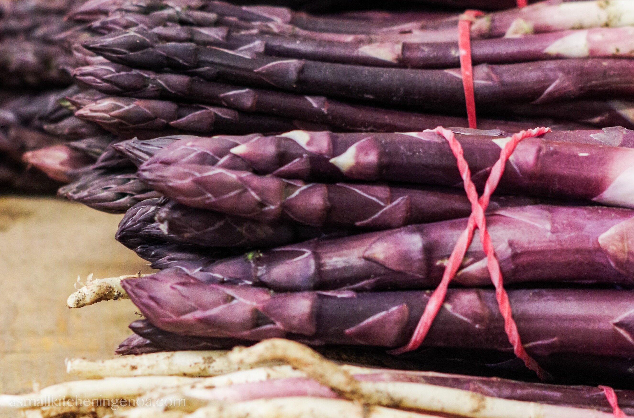 CIA Savona lancia la prima filiera dell&rsquo;asparago violetto