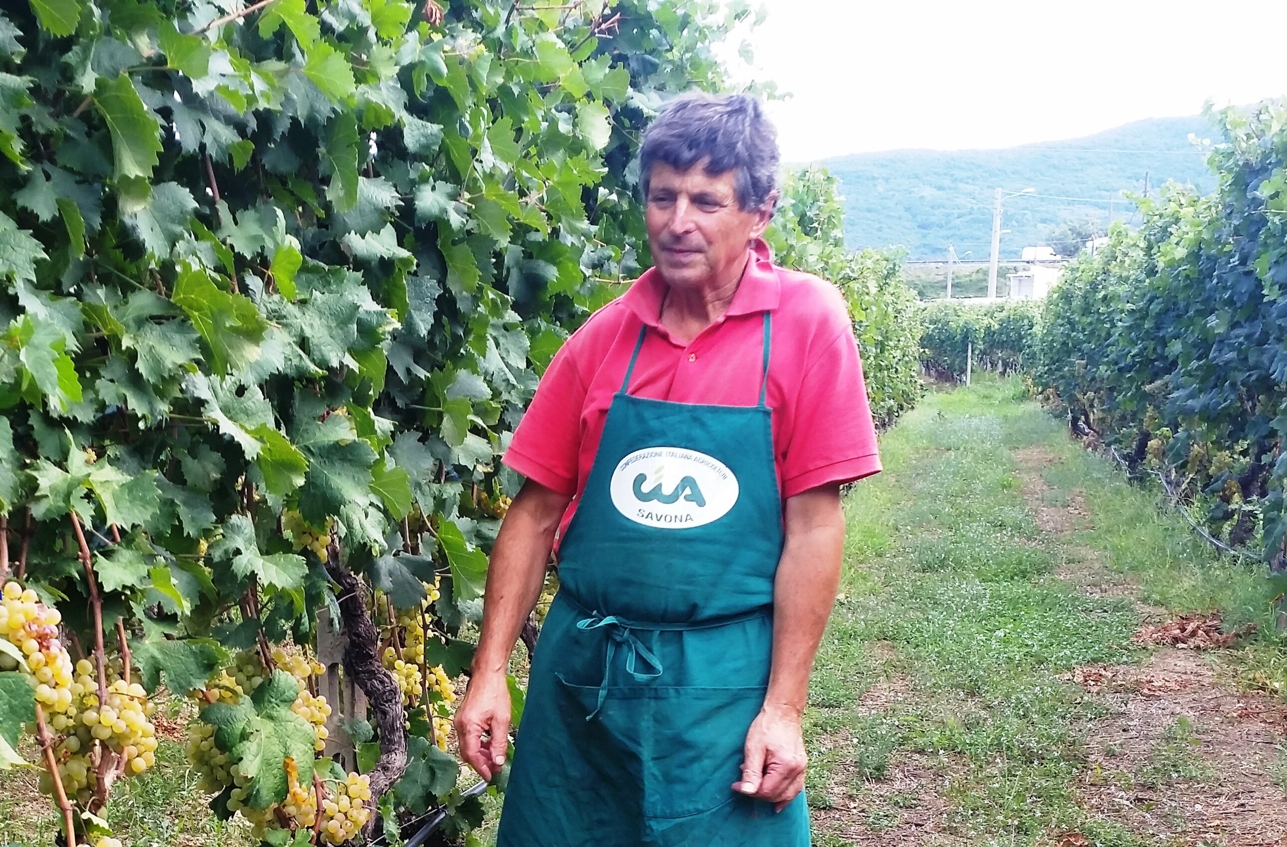 Cia Savona: riaperture essenziali per la filiera del vino