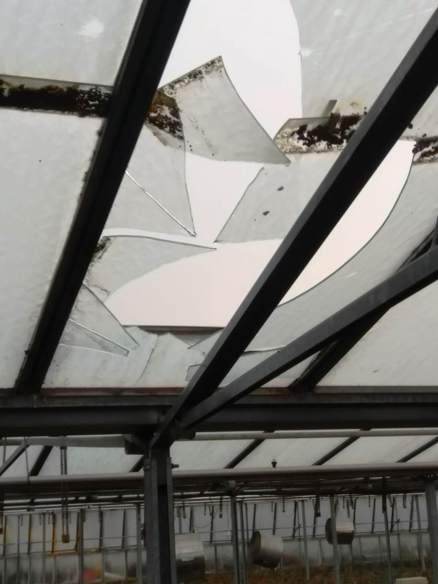 Lastre di vetro delle serre danneggiate dal maltempo: proroga sul conferimento gratuito