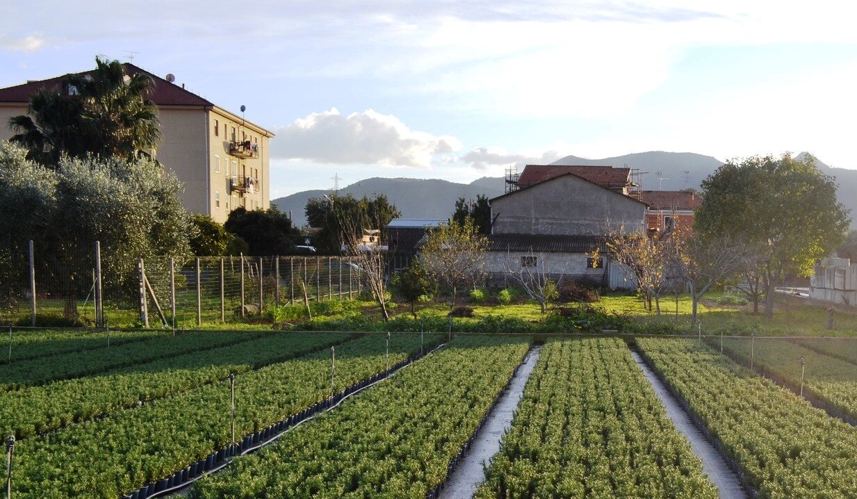 Ritardo nei pagamenti per i premi di superficie, Cia Liguria chiede incontro a Regione e Agea