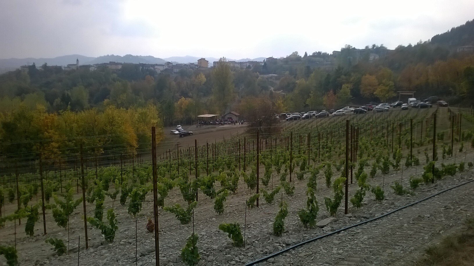 Legge di Bilancio, CIA Savona: "Ok per le agevolazioni, ma aumento pensioni non pi&ugrave; rinviabile"