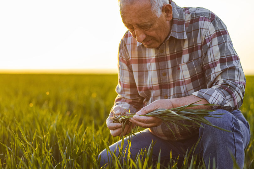Governo Draghi, Anp-Cia: "Priorit&agrave; campagna vaccinale e pensioni minime"