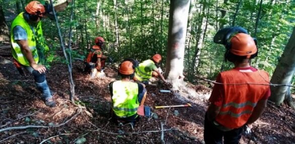 Recovery Fund occasione storica per il settore agroforestale