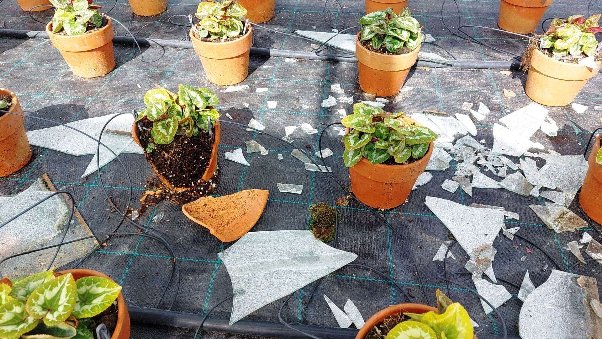 Maltempo e grandine: serre danneggiate, vetri sulle coltivazioni