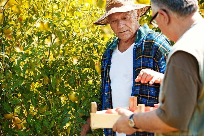Pensioni, Anp-Cia: "Sulle minime si poteva fare di pi&ugrave;"