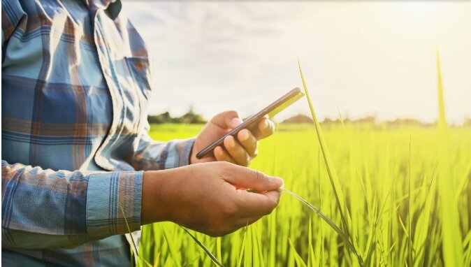 Genome editing indispensabile per la transizione green