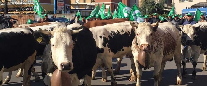 Bilancio Ue, CIA: "No al taglio di risorse Pac, a rischio svolta green"