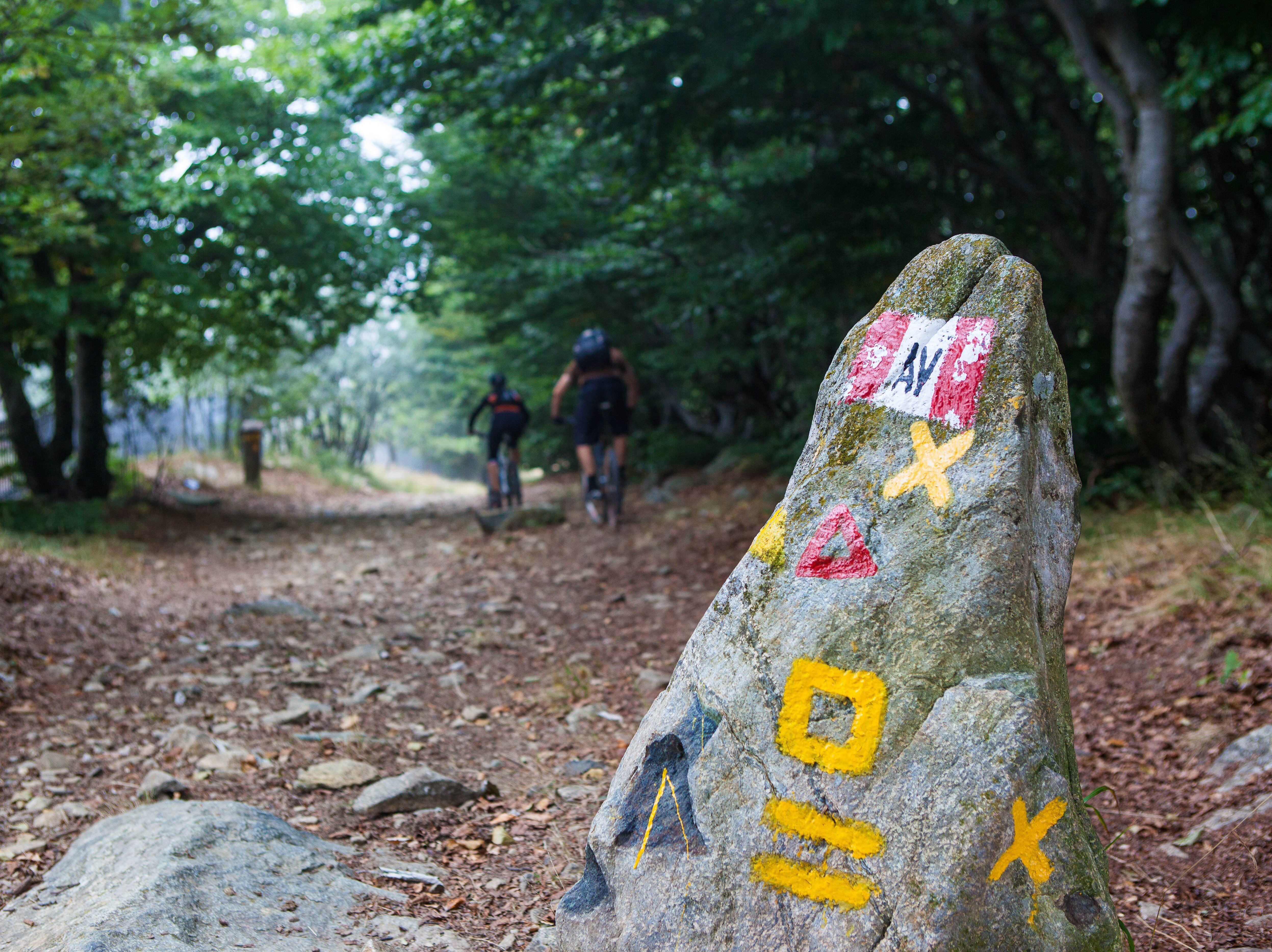GAL Valli Savonesi: variazioni a copertura delle domande sui bandi