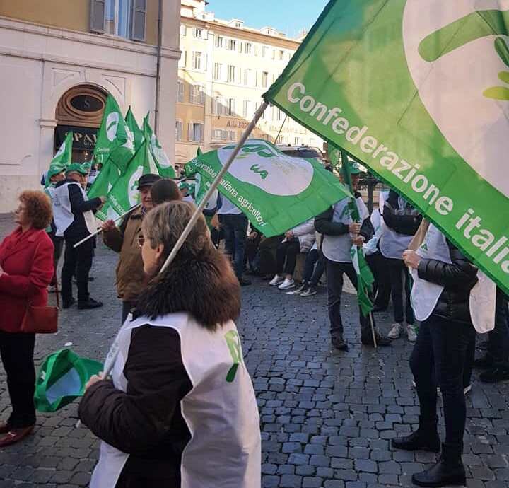 Manovra: Anp-Cia, un passo avanti i 600 euro mensili per gli over 75