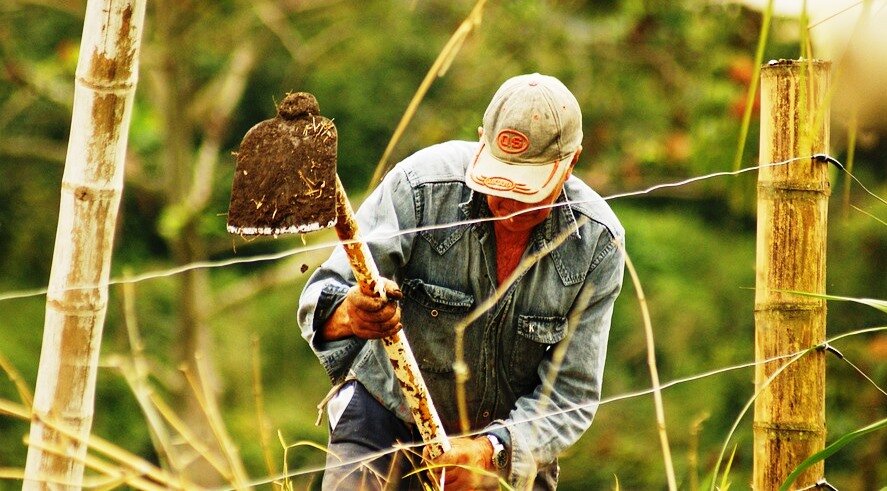&ldquo;La vita nei campi &egrave; dura&rdquo;: in crescita le malattie professionali degli agricoltori savonesi