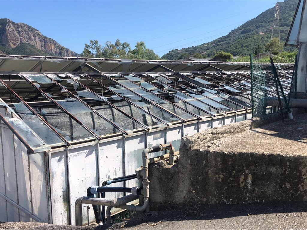 Danni agricoltura, Cia Liguria: "Intervento pubblico per nuovo sistema di protezione universale"