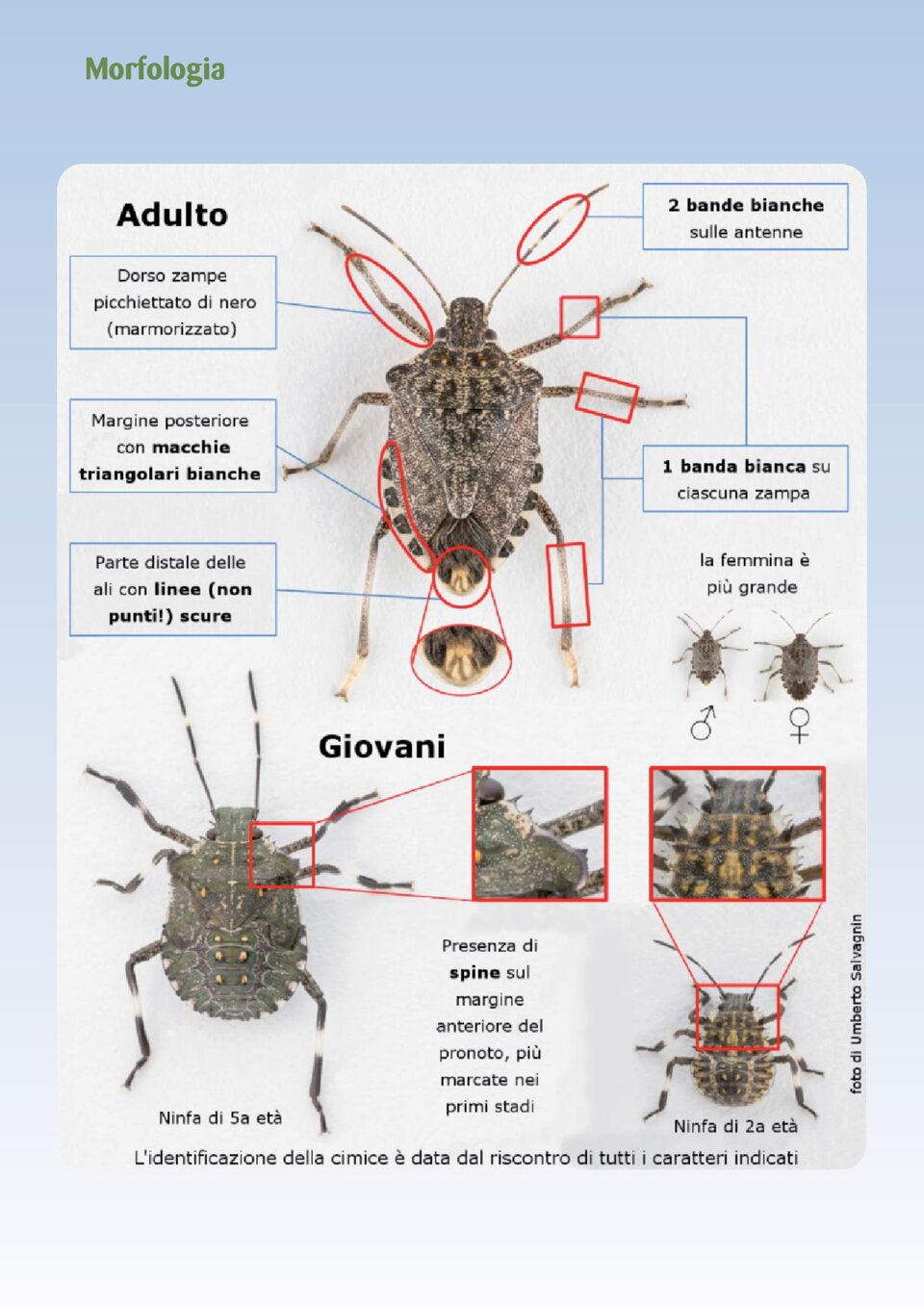 7869c79e-2735-4ed4-a47d-8af40dba8a3e 7869c79e-2735-4ed4-a47d-8af40dba8a3e