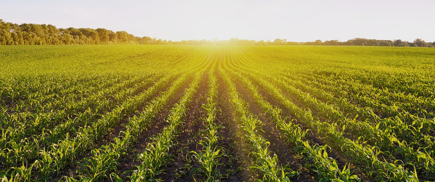 Assemblea CIA: agricoltura traino del rilancio economico