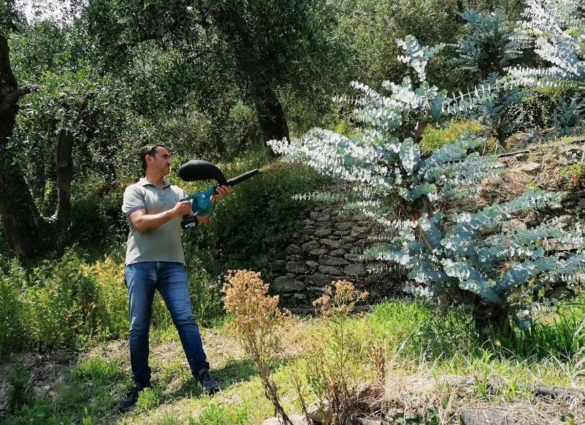 Sostenibilit&agrave;, CIA: "No al regolamento UE sui prodotti fitosanitari"