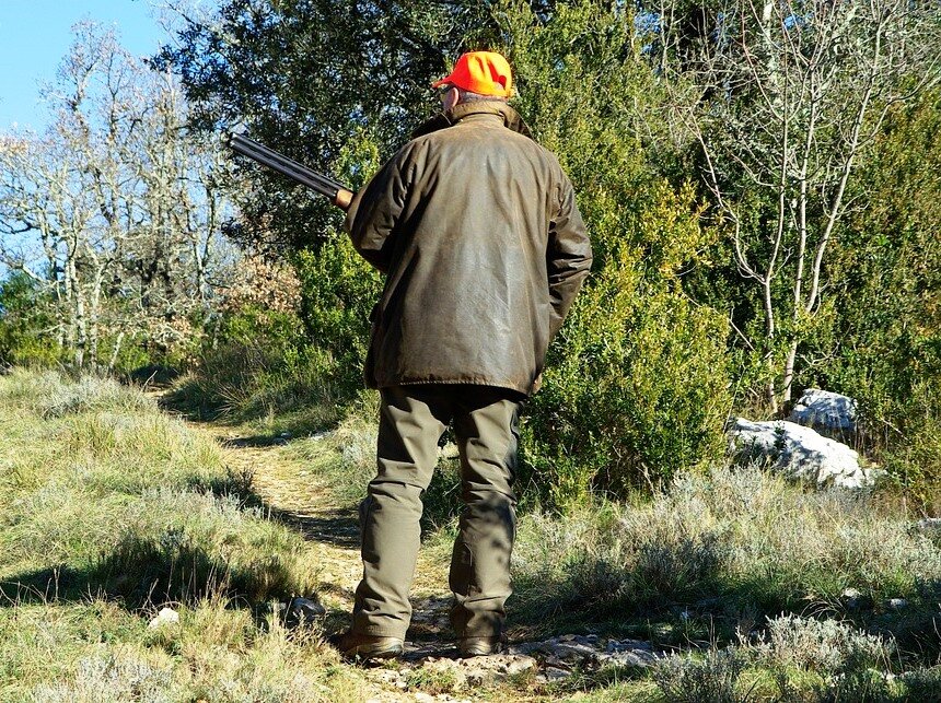 Peste suina, Cia all'incontro pubblico di Sassello: "Abbattimenti immediati, i cacciatori di nuovo nei boschi"