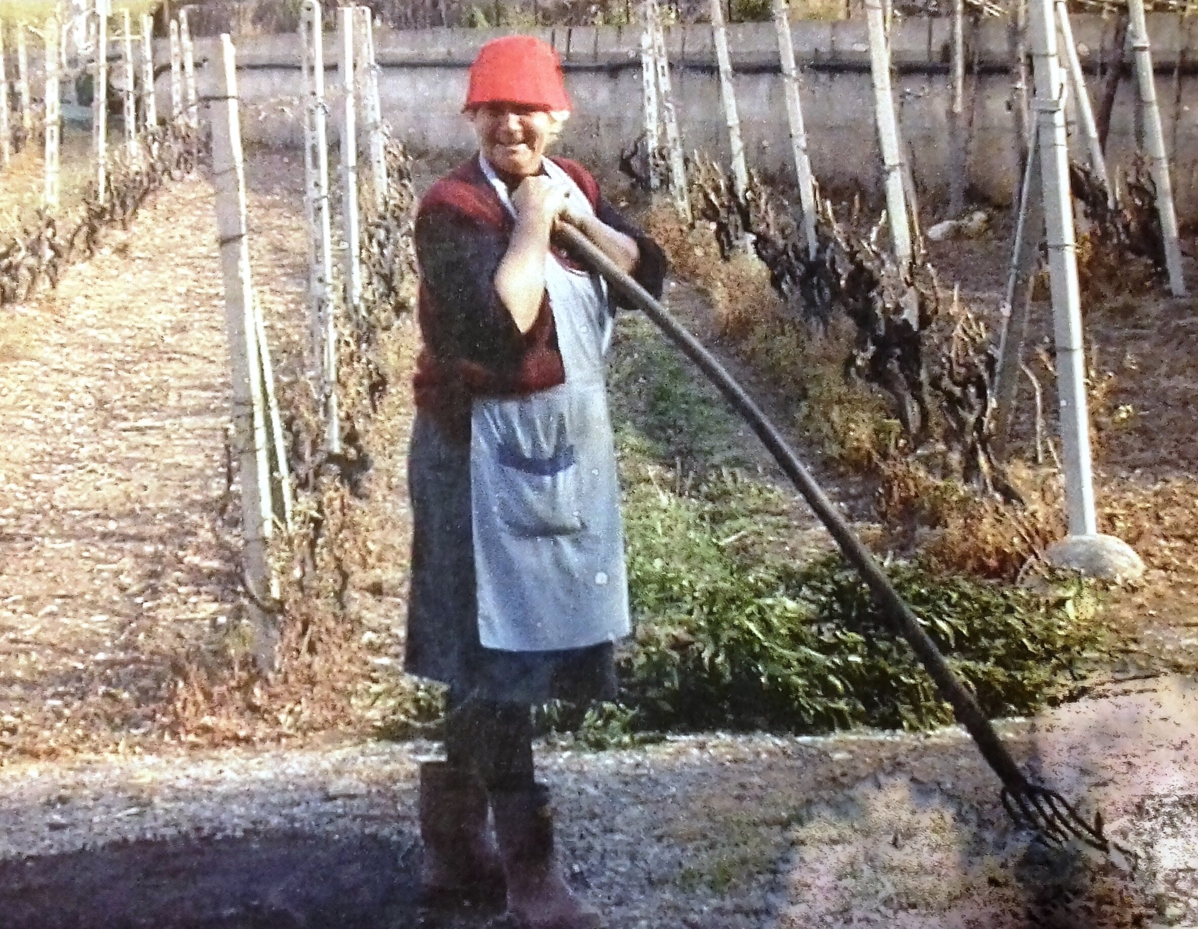 Donne in Campo-Cia, la storia di Bice: la &ldquo;nonna&rdquo; del Pigato