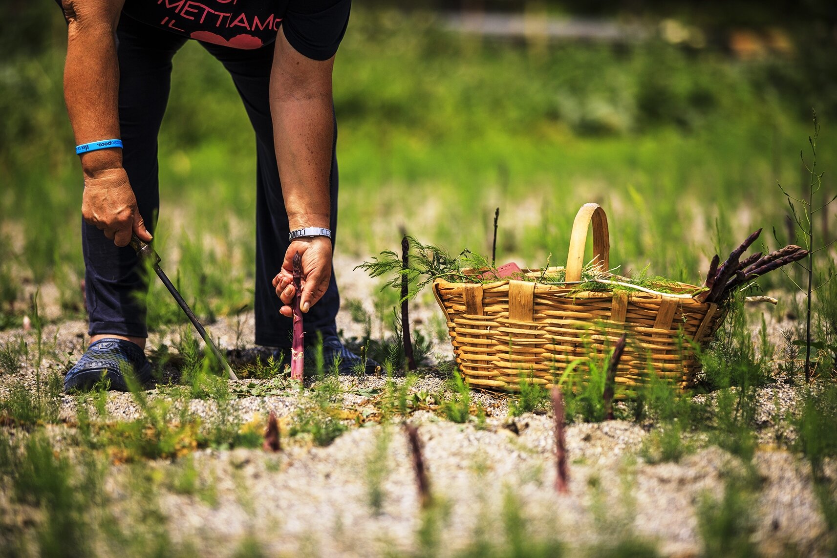 Patologie cutanee per l'esposizione solare: al via campagna di prevenzione