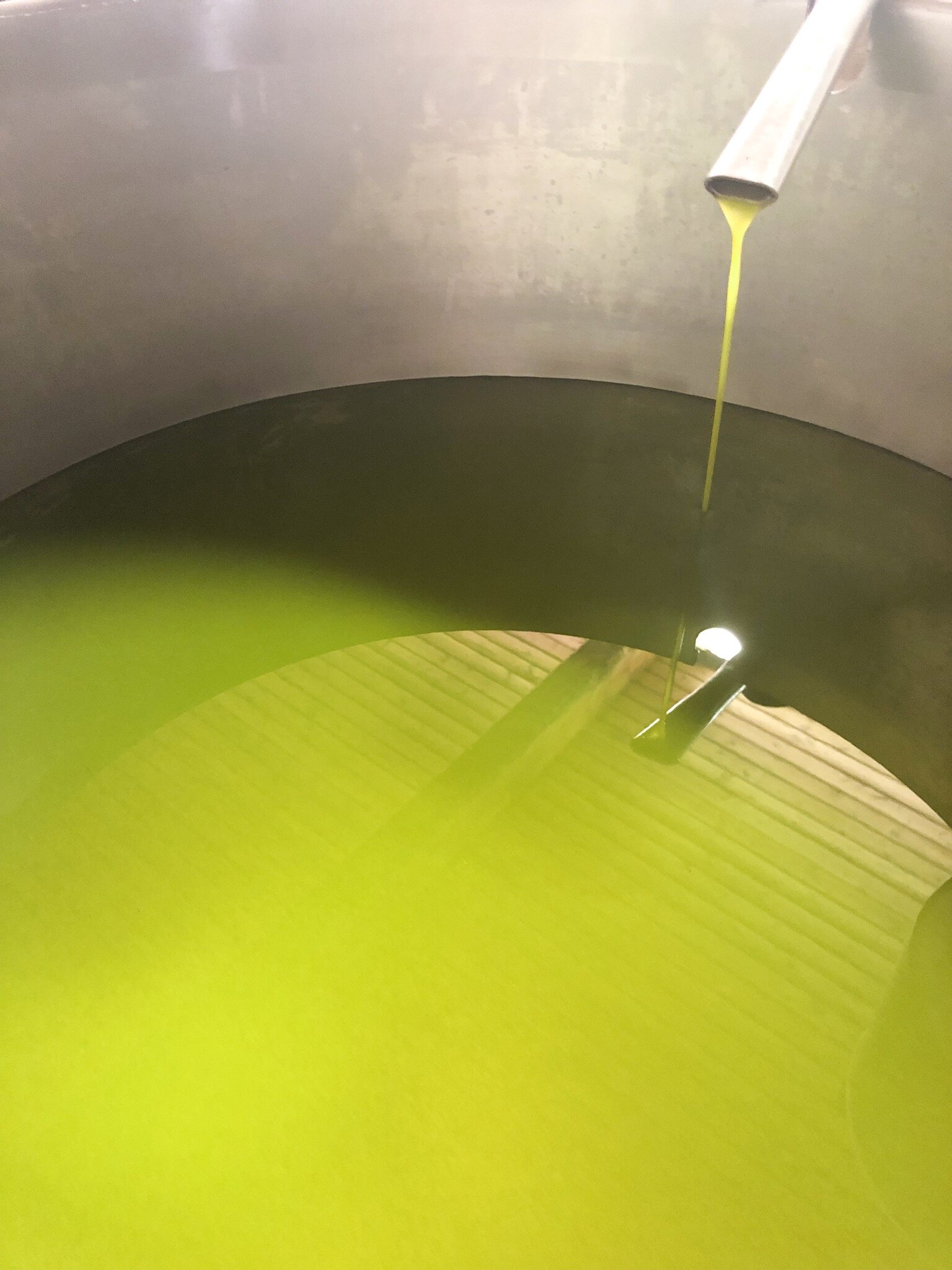 "Vite in Riviera": la kermesse sulle eccellenze agroalimentari, vini e olio extravergine