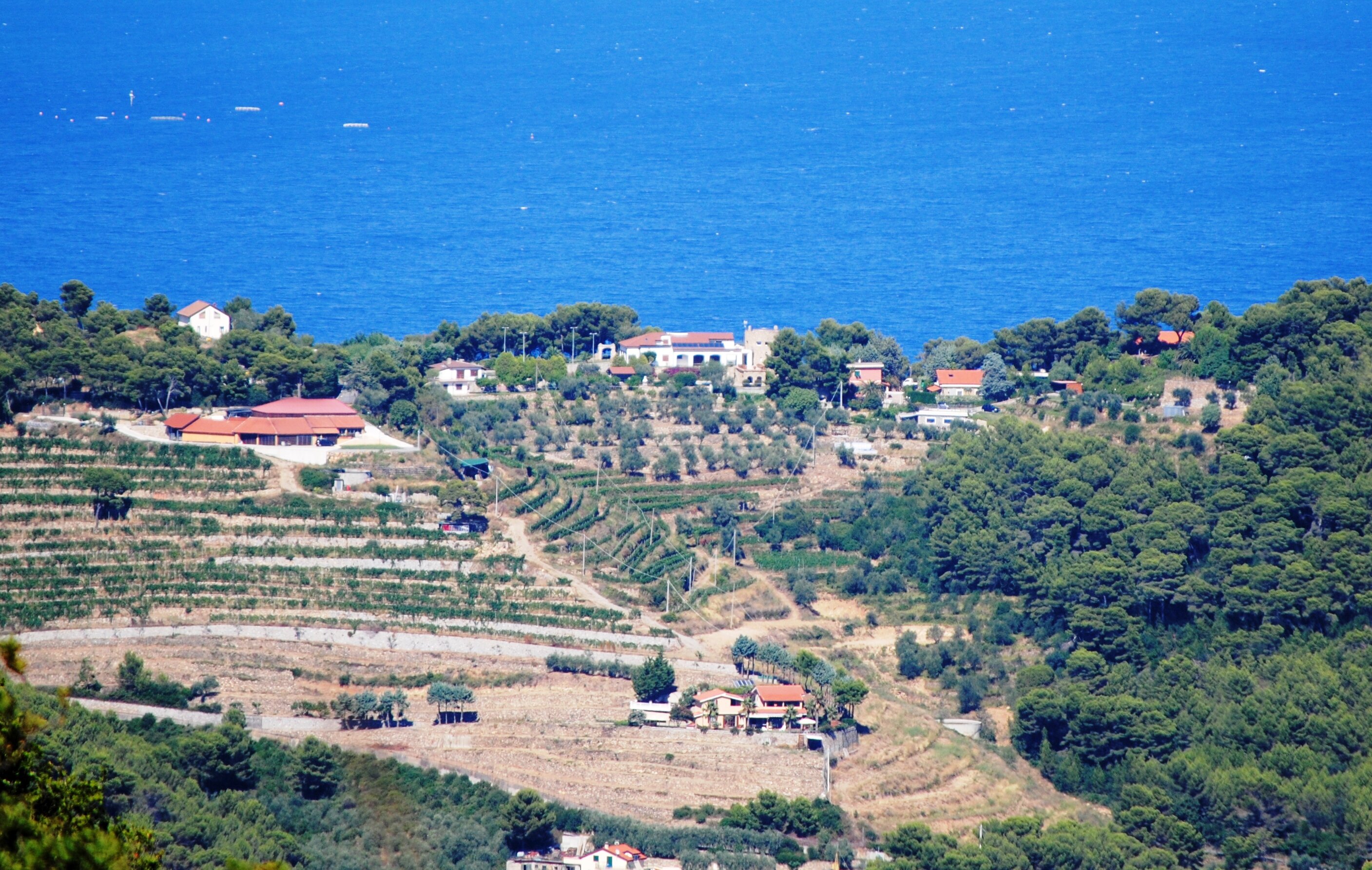 Elezioni, TEMPO SCAUTO! Le proposte di Cia - Agricoltori Italiani per rilancio del settore