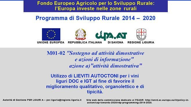 dbbba702-2870-495e-b968-d056899fea1f